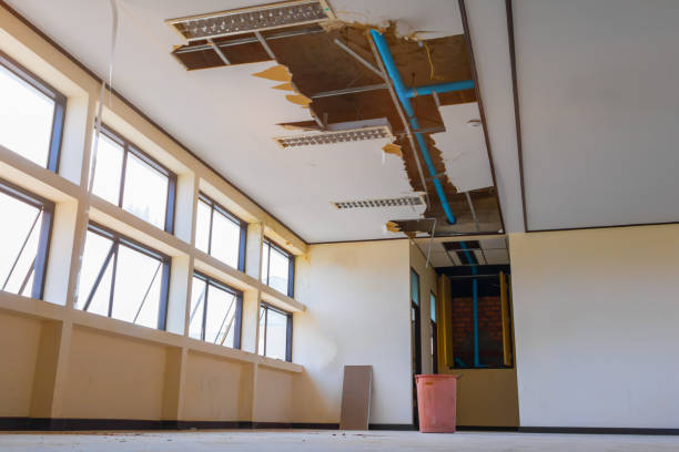 Professional Water damage restoration in Citrus Park, FL
