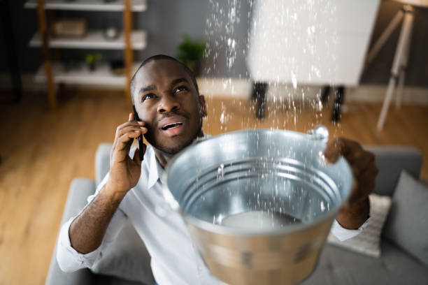 Best Water damage restoration mold remediation  in Citrus Park, FL