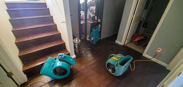 Water damage restoration mold remediation in Citrus Park, FL