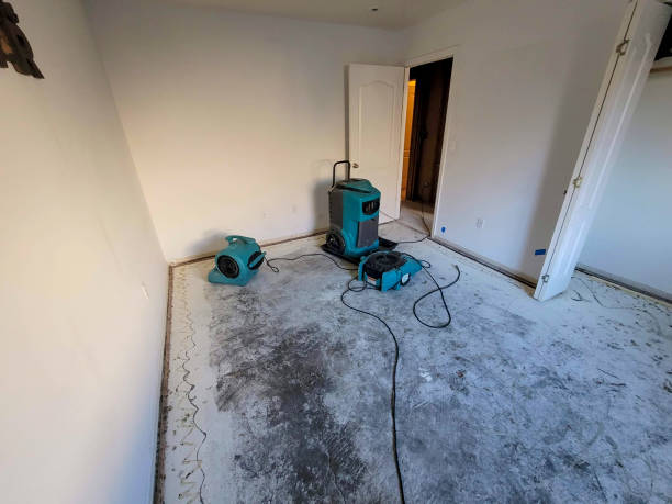 Best Flood damage cleanup  in Citrus Park, FL