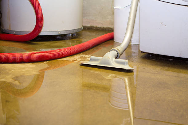Best Commercial water damage restoration  in Citrus Park, FL