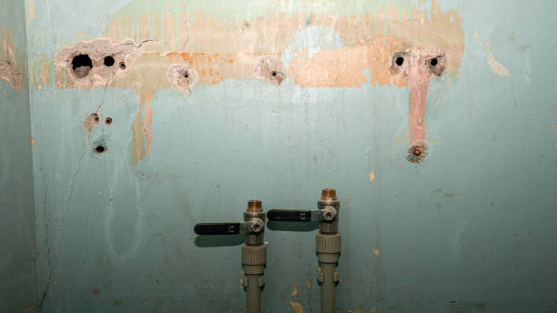 Best 24-hour water damage restoration  in Citrus Park, FL