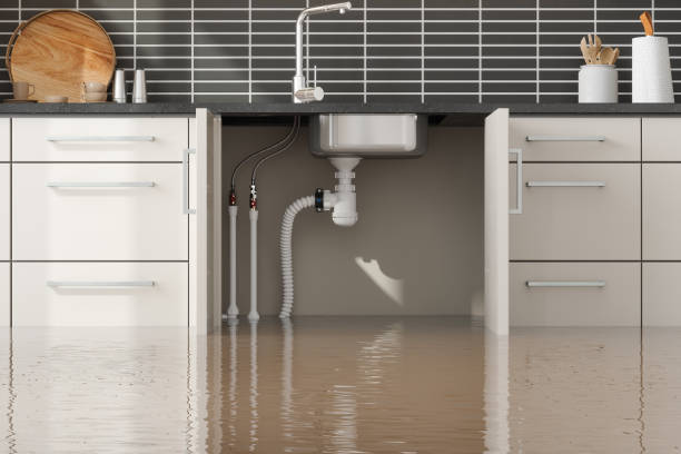 Trusted Citrus Park, FL Water damage restoration Experts