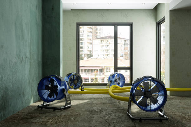Best Water damage restoration near me  in Citrus Park, FL